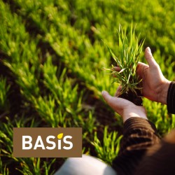 Basis - Crop Protection