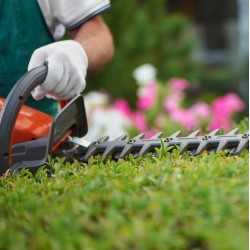 Hand Held Hedge Trimmer