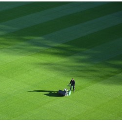 Mowers – Pedestrian & Ride On