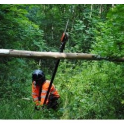 Pole Pruner & Refresher