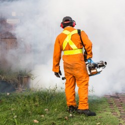 PA9 – Smoke/Fogs