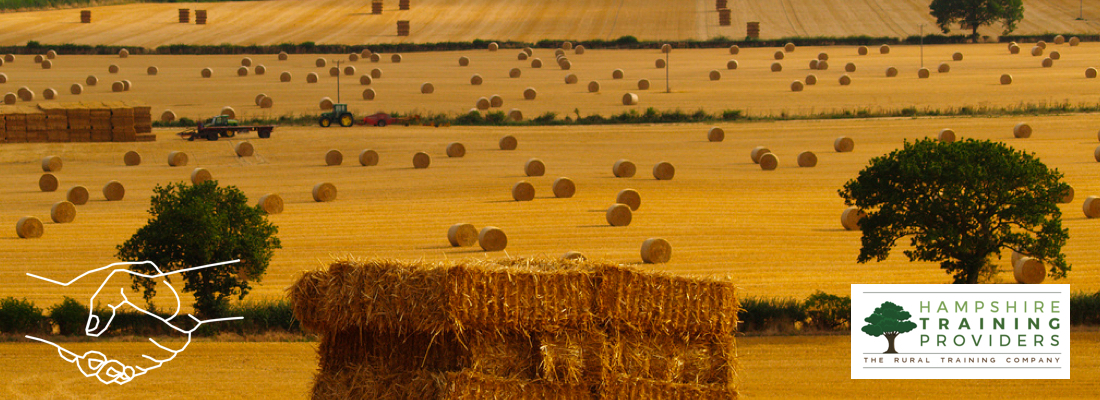 hay bales